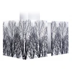 Okap kuchenny kominowy 68 cm Berdsen BN-ART INOX + szkło