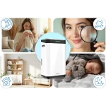 Osuszacz powietrza kompresorowy - pochłaniacz wilgoci 25l/24h higrostat Berdsen BD-533 biały